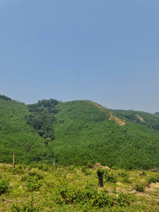 Van Canh WPP (143 MW), photograph 1 of 2